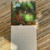 2025 Calendar Studio By Nicolet